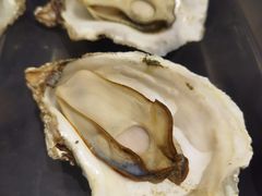 -蚝伯·新派海鲜(荣昌店)