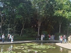 -曼听御花园
