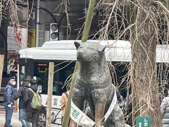 -涩谷全向十字路口
