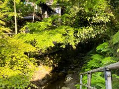 -三千院