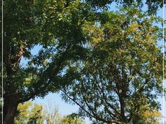 -盘龙城国家考古遗址公园