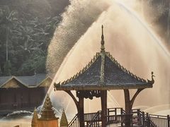 -西双版纳原始森林公园