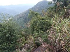 -大龙山(地铁站)