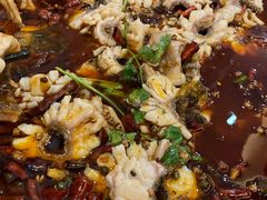 -重庆何乌鱼(南湖逸家店)