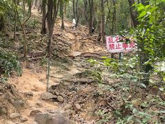-火炉山森林公园