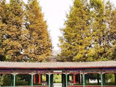 -武汉园博园(武汉自然博物馆)