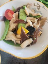 -俏妈咪月子会所