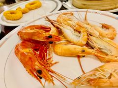 黑虎虾大头虾-温州华侨饭店(信河街店)