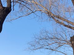 景点-北京亚布洛尼朝阳公园滑雪场