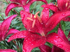 iphone_upload_pic-蠡湖中央公园