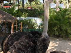 -三亚亚龙湾天域度假酒店