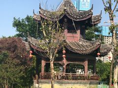 -飞来湖湿地公园