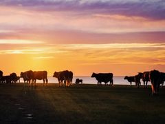 -呼和诺尔旅游景区