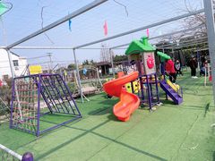 -小鱼草莓采摘园农家乐·小鱼餐厅