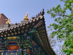-护国法轮寺