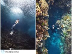 -苏州海洋馆