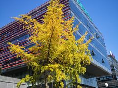 -星巴克(成都科学城店)