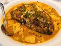 乾隆鱼头烧豆腐-乾隆美食·本帮菜(黄河路店)