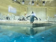 -威海华夏城景区