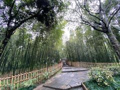 -乌镇东栅景区