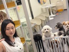 -有喵·猫咖·狗咖·30几只猫10只小狗(岗厦店)