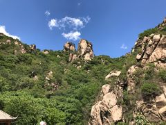 -大岭沟猕猴桃谷风景区