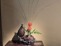 -觀芷隐轩