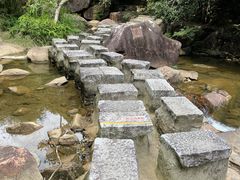 -广州白江湖森林公园