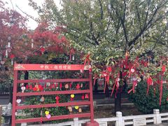 -祥源·阜阳生态乐园