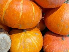 -老阿爸江浙土菜(奥体中心店)