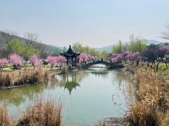-石塘人家