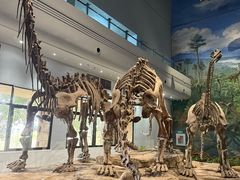 -自贡恐龙博物馆