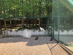 -南京金牛湖风景区