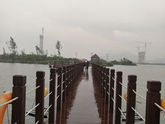 -芒洲湿地公园