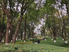 -重庆市江北嘴中央商务区中央公园