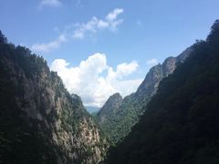 -青峰峡国家森林公园