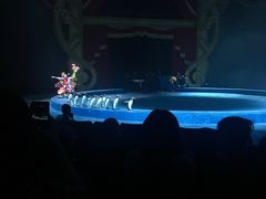 -珠海横琴长隆《卡卡虎奇遇记》