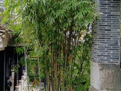 -阳明祠