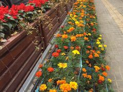 -丰乐餐厅·始于1999·本地老字号