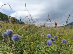-白草畔自然风景区
