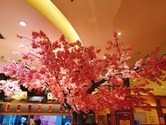 -大江户·温泉洗浴(浑南店)