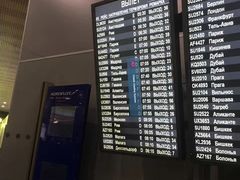 -谢列梅捷沃国际机场