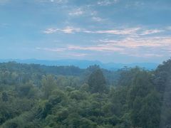 -成都市活水公园