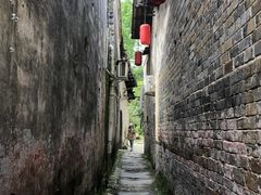 -羊楼洞
