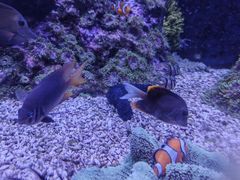 -成都浩海立方海洋公园