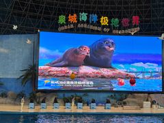 -泉城欧乐堡海洋极地世界