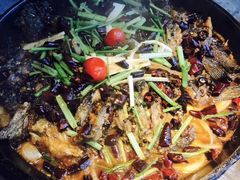 -老板恋上鱼(恒隆广场店)