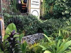 -Jungle Kitchen