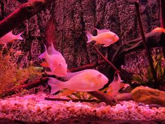 -上海海洋水族馆
