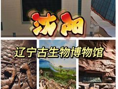 -辽宁古生物博物馆